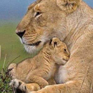 Meet your Posher, Alexia